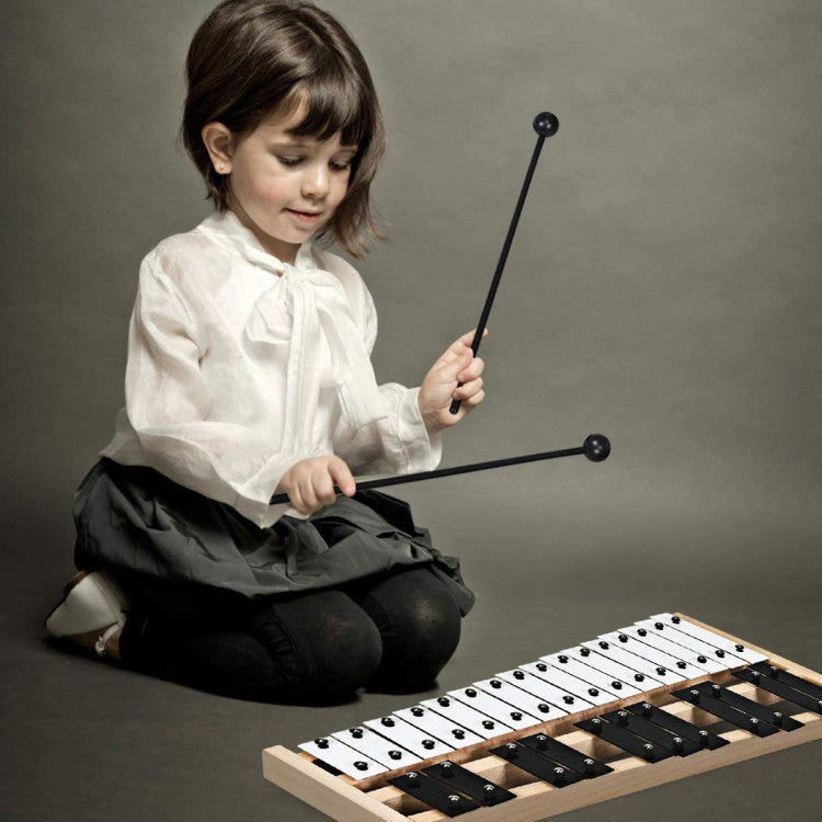 27-Note Glockenspiel Xylophone with 2 Rubber Mallets – Portable Percussion Instrument