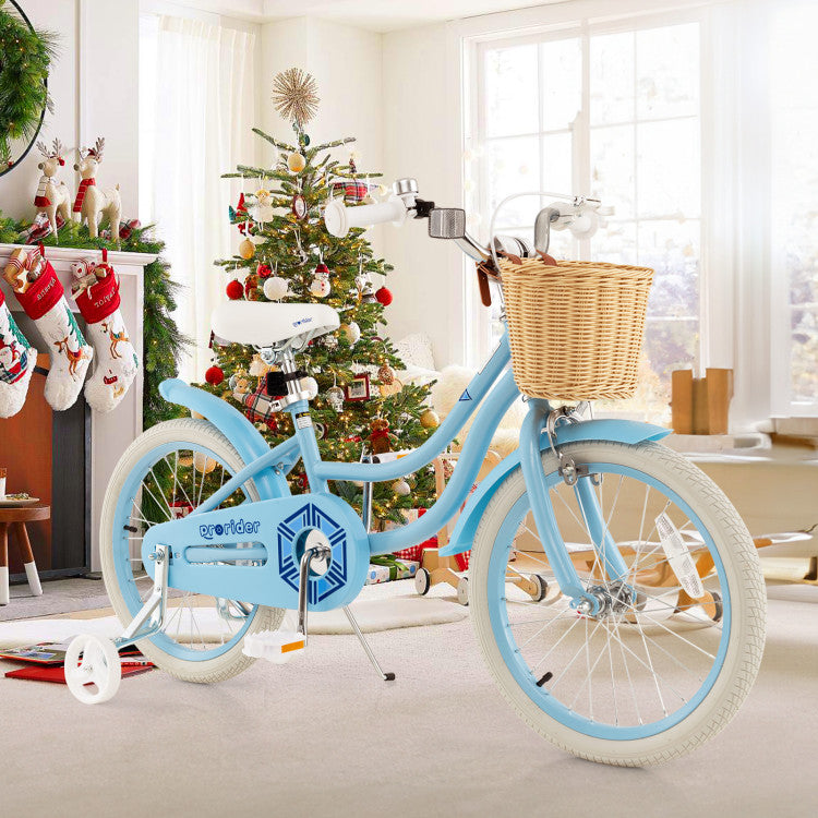 kids balance bike with push handle