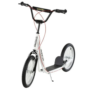ride-on kick scooter