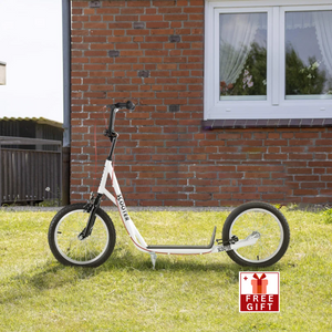 ride-on kick scooter