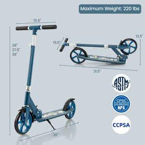 kick scooter adult