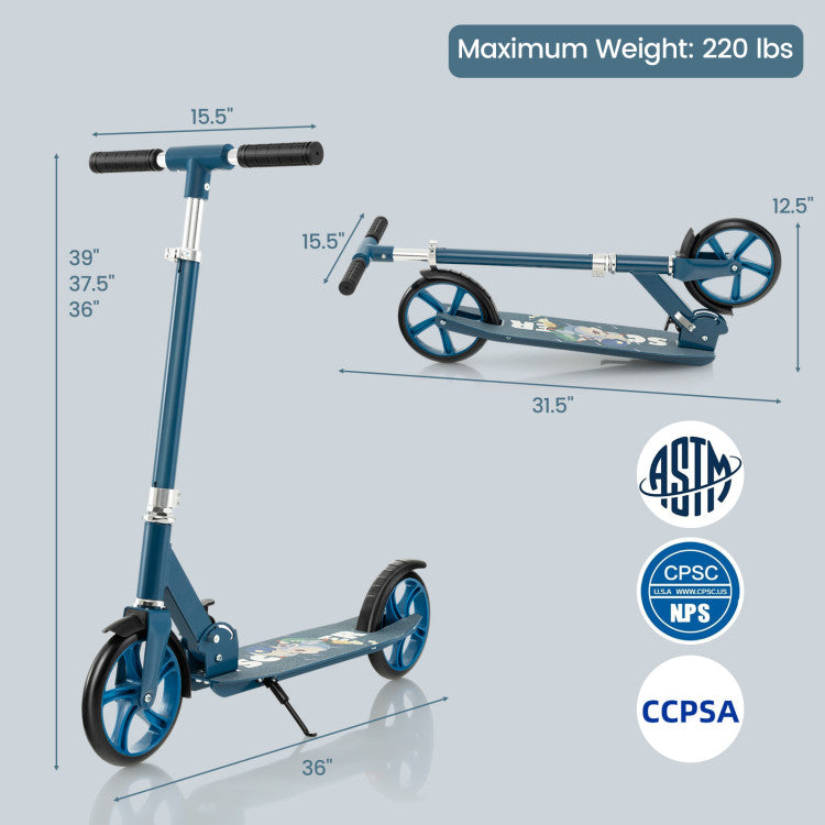 kick scooter adult