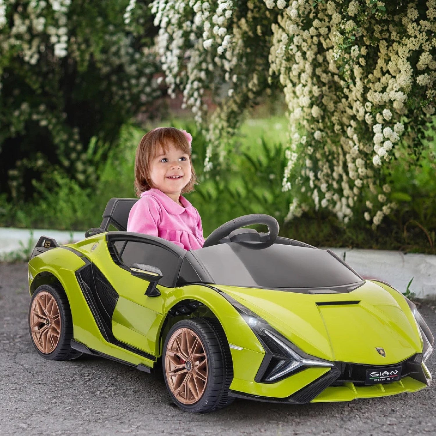 Lamborghini SIAN 12V Kids Rechargeable Ride On Car Toy