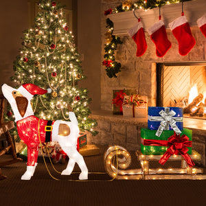 Pre-Lit Outdoor Christmas Dog and Sleigh with 170 Warm Lights – Festive Porch Decor