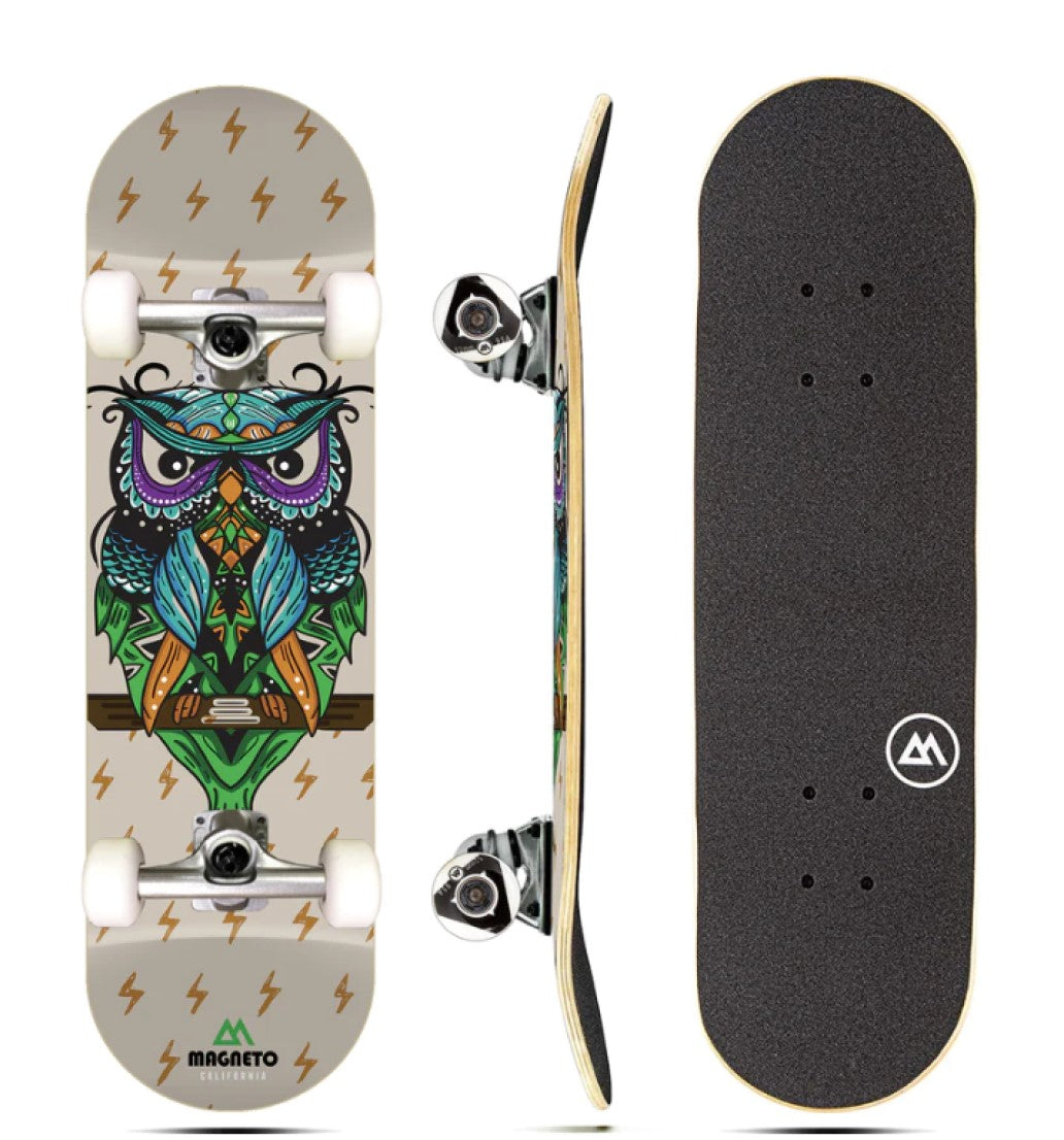 The Ultimate Skateboard for Kids Cruiser Skateboard - Perfect for Beginners and Advanced Skaters, Wise Owl Design