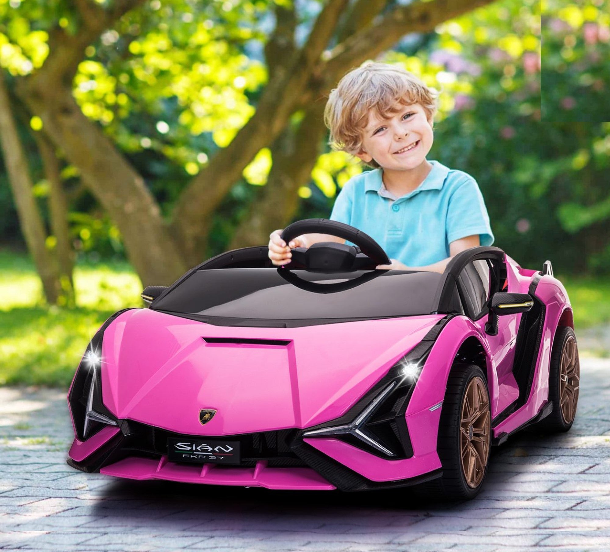 Lamborghini SIAN 12V Kids Rechargeable Ride On Car Toy