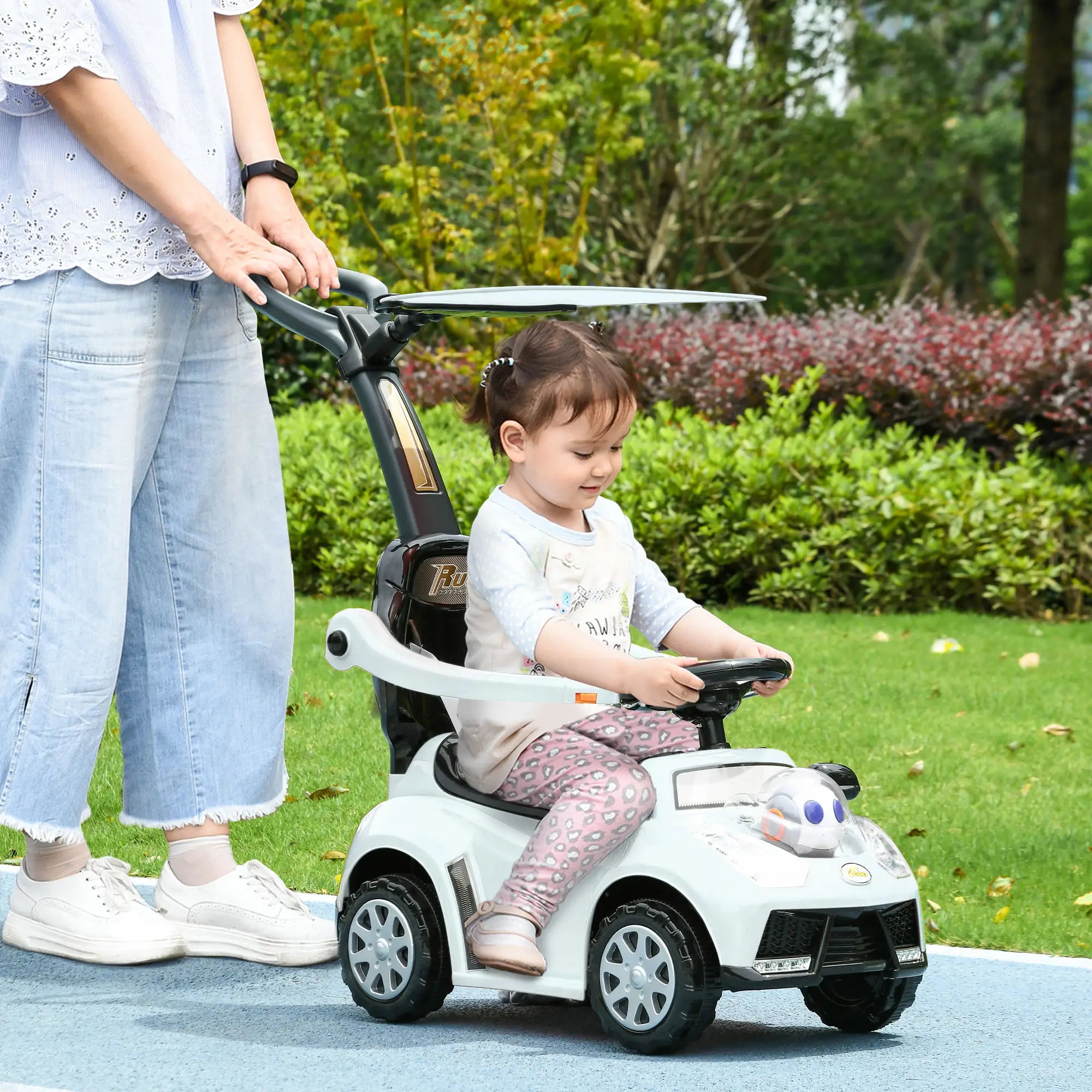 Removable footrest and safety fence for adaptable riding options