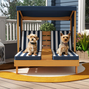 Two dogs sitting on a striped outdoor bench with a blue canopy.