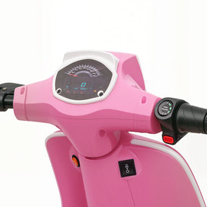 Dashboard and controls on ride on motorcycle